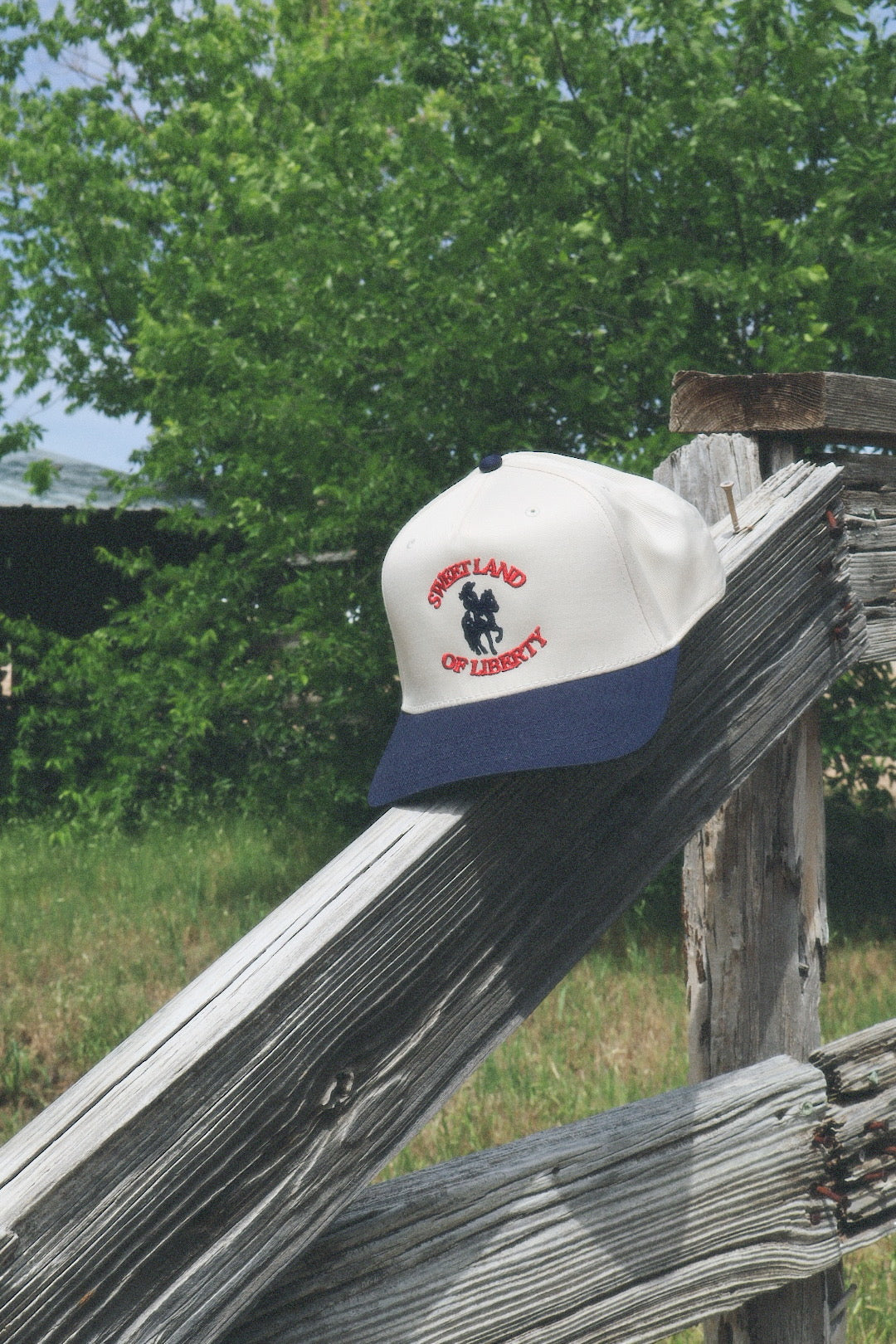 Sweet Land of Liberty Hat